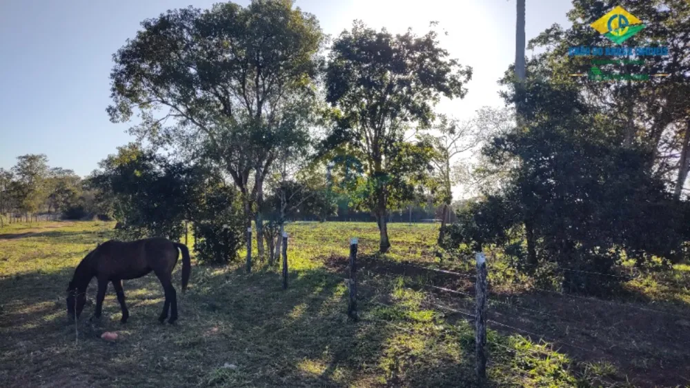 Sítio, 3 quartos, 3000000 m² - Foto 14