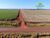 Fazenda, 156 m² - Foto 3