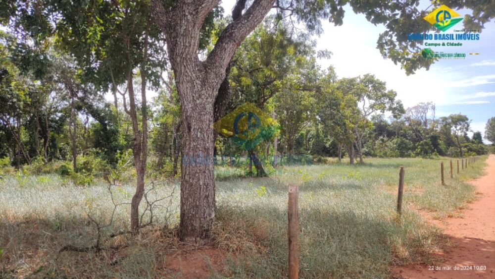 Chácara, 1 quarto - Foto 3