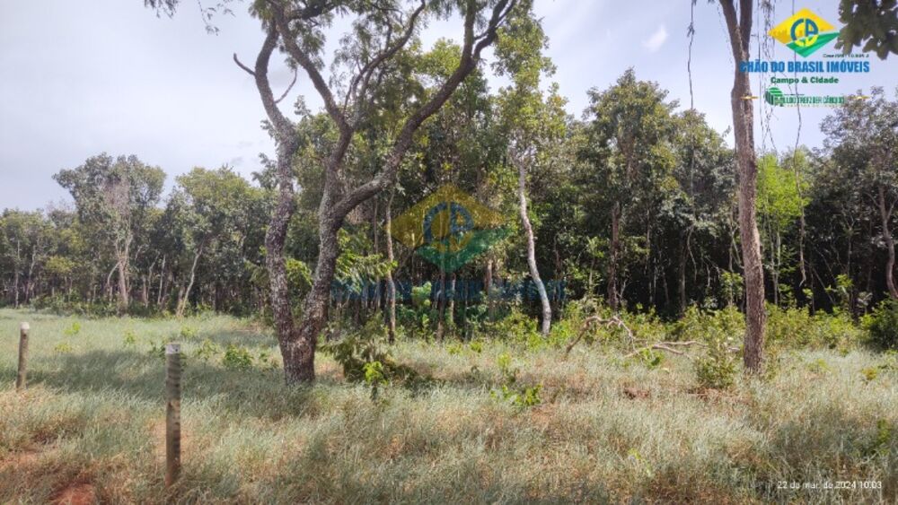 Chácara, 1 quarto - Foto 2