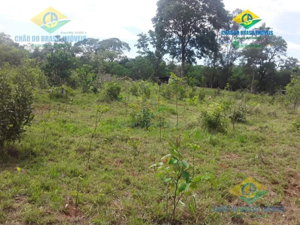 Chácara, 2 quartos - Foto 12