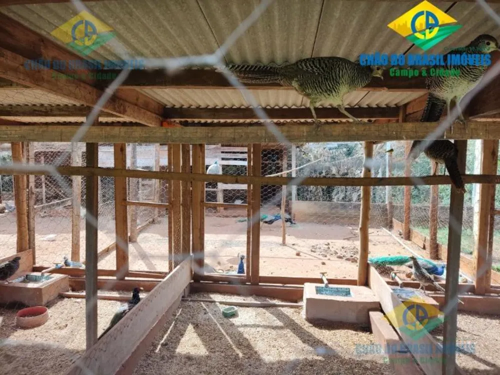 Chácara, 4 quartos - Foto 10