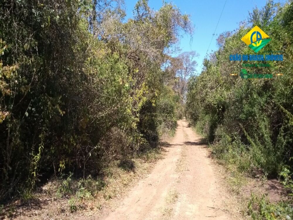Chácara, 1 quarto - Foto 4