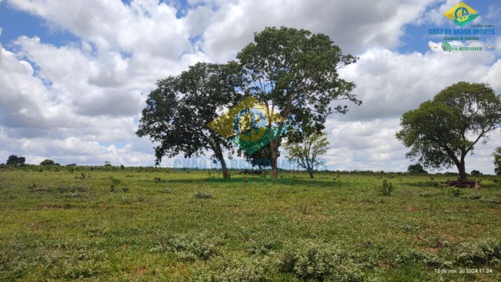 Fazenda à venda com 4 quartos, 200m² - Foto 4