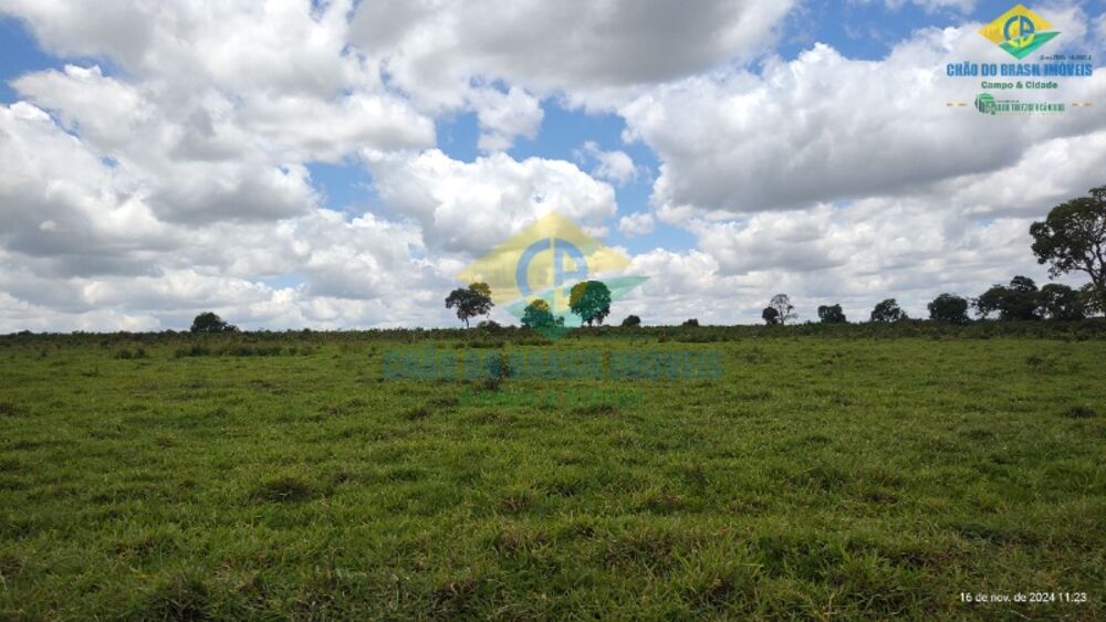 Fazenda à venda com 4 quartos, 200m² - Foto 3