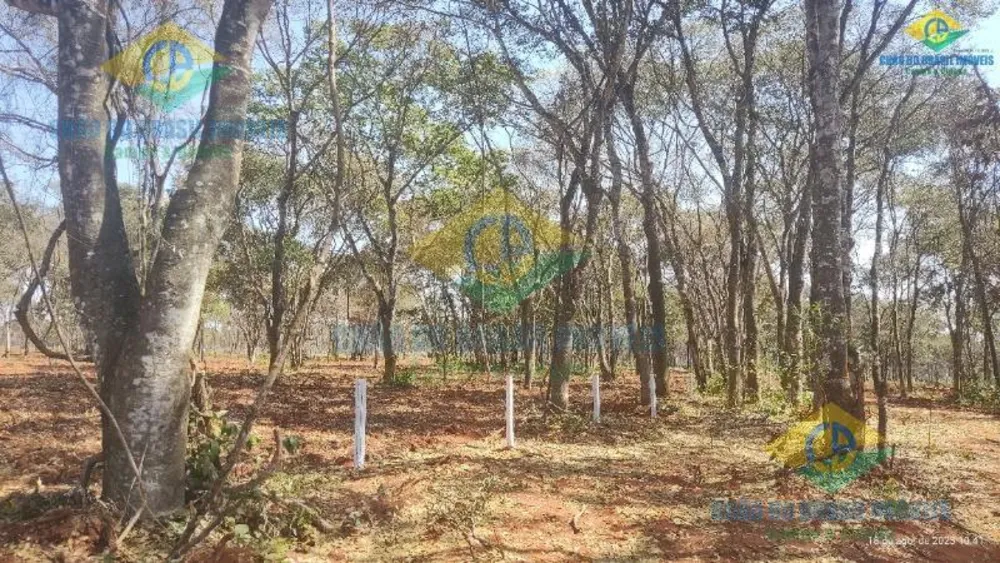Chácara, 1 quarto - Foto 6