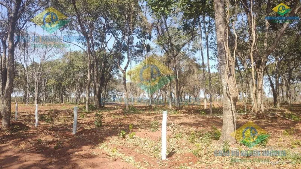 Chácara, 1 quarto - Foto 4