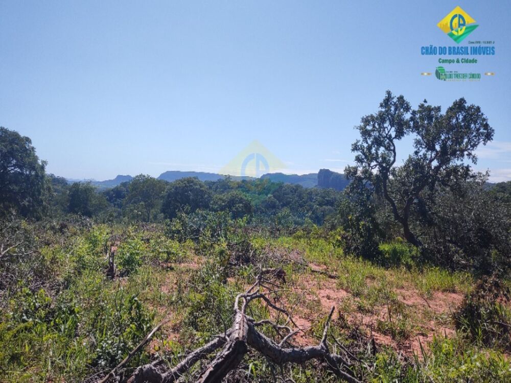 Fazenda, 953 m² - Foto 2
