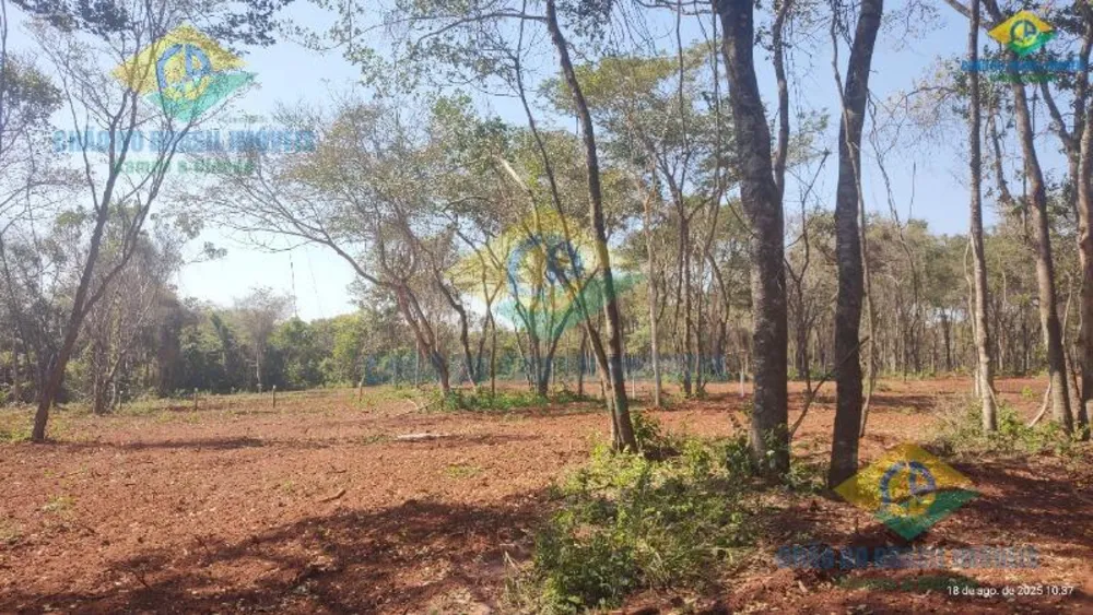 Chácara, 1 quarto - Foto 2