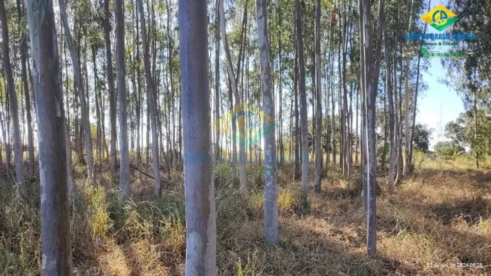 Sítio, 3 quartos, 2500000 m² - Foto 8