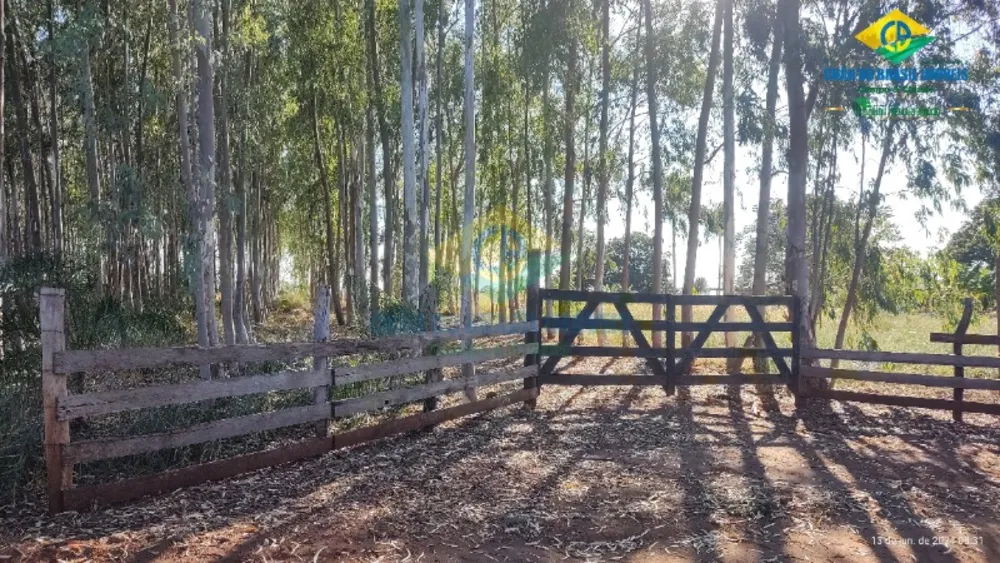 Sítio, 3 quartos, 2500000 m² - Foto 6