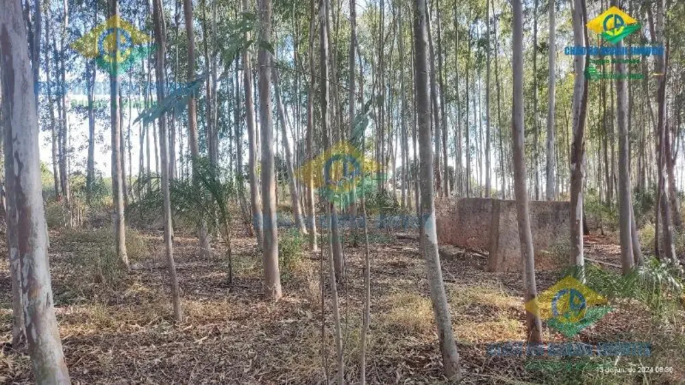 Sítio, 3 quartos, 2500000 m² - Foto 16
