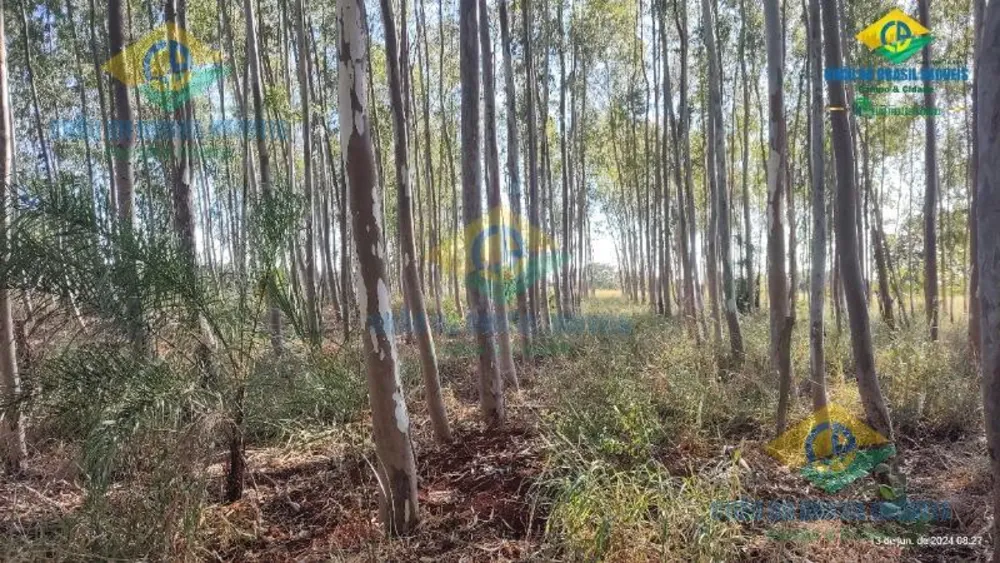 Sítio, 3 quartos, 2500000 m² - Foto 15