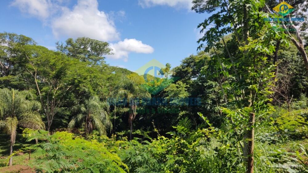 Chácara, 3 quartos, 2 hectares - Foto 4