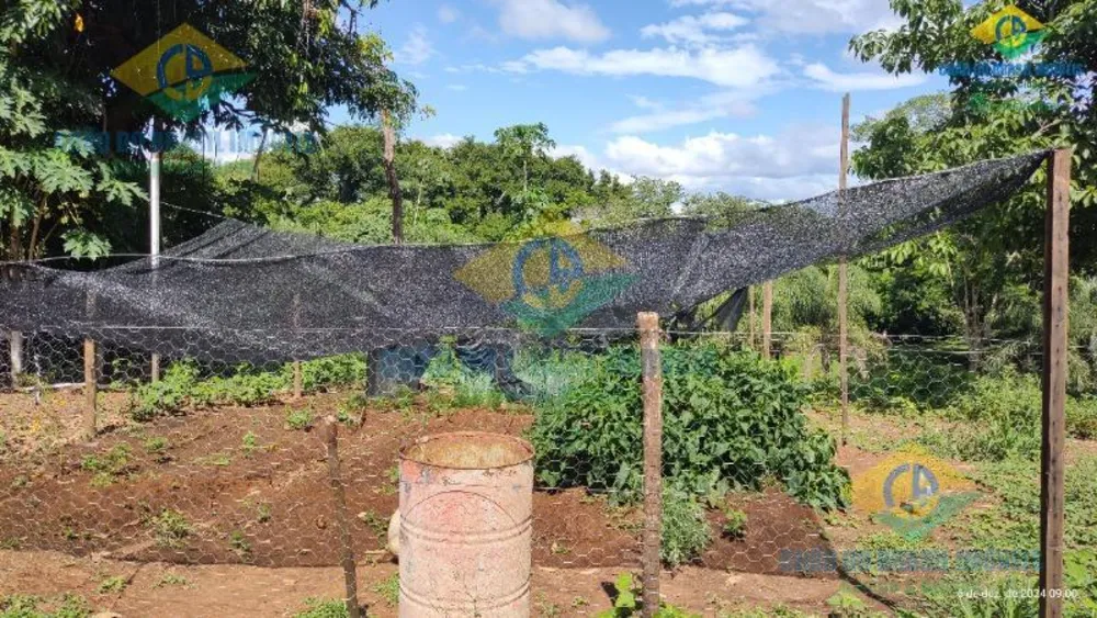 Chácara, 3 quartos - Foto 16