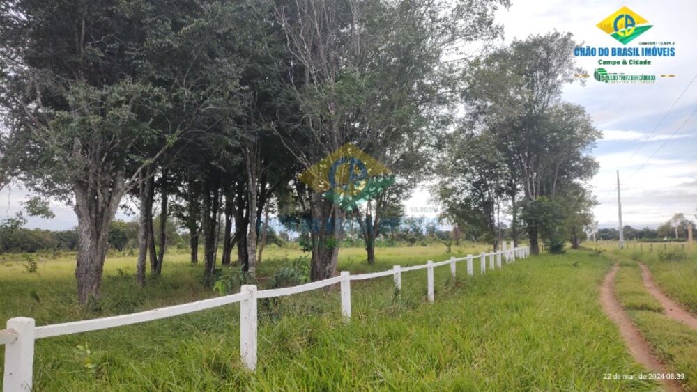 Chácara, 1 quarto - Foto 4