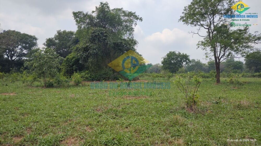 Sítio, 3 quartos, 44 m² - Foto 7