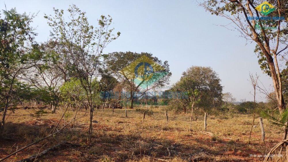 Sítio, 3 quartos, 44 m² - Foto 10