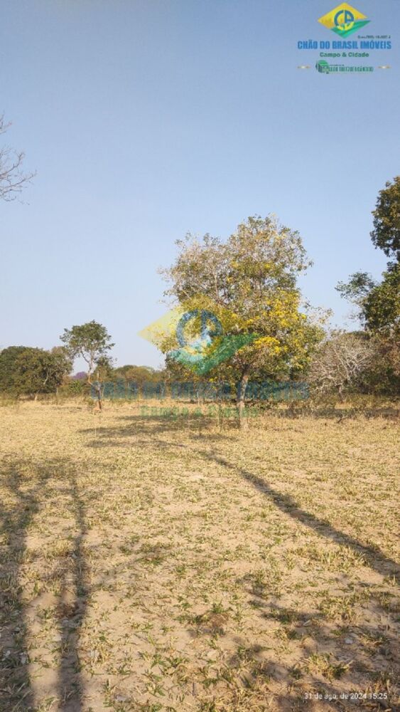 Sítio, 3 quartos, 44 m² - Foto 12