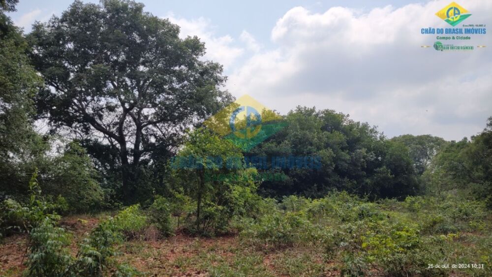 Sítio, 3 quartos, 44 m² - Foto 9