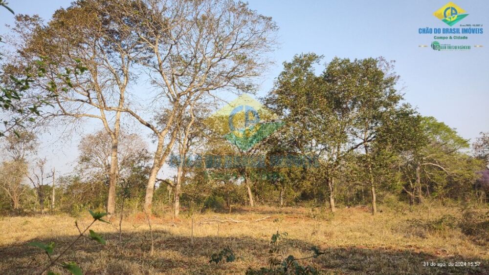 Sítio, 3 quartos, 44 m² - Foto 11