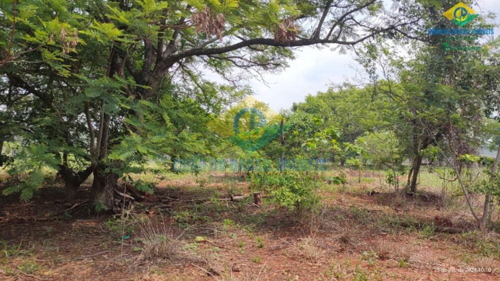 Sítio, 3 quartos, 44 m² - Foto 4