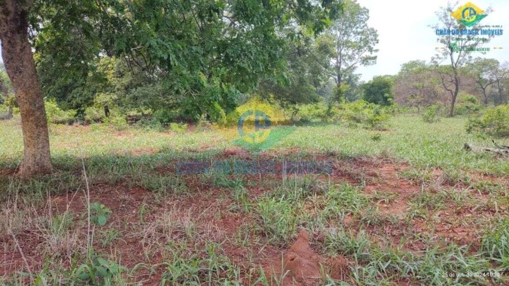 Sítio, 3 quartos, 44 m² - Foto 8