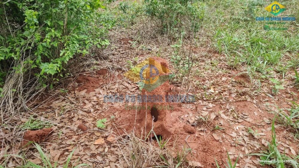 Sítio, 3 quartos, 44 m² - Foto 3