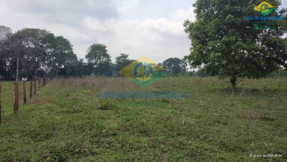 Sítio, 3 quartos, 44 m² - Foto 2