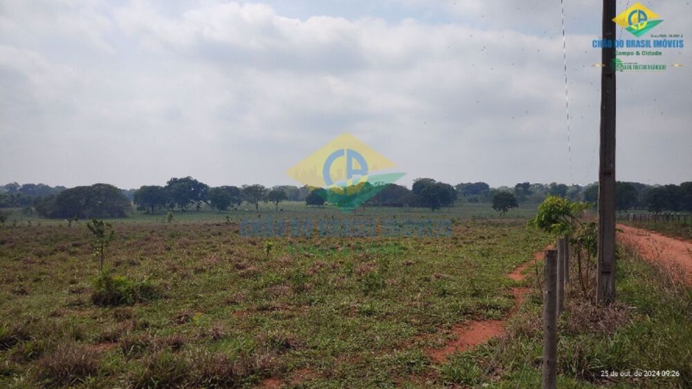 Sítio, 3 quartos, 44 m² - Foto 1