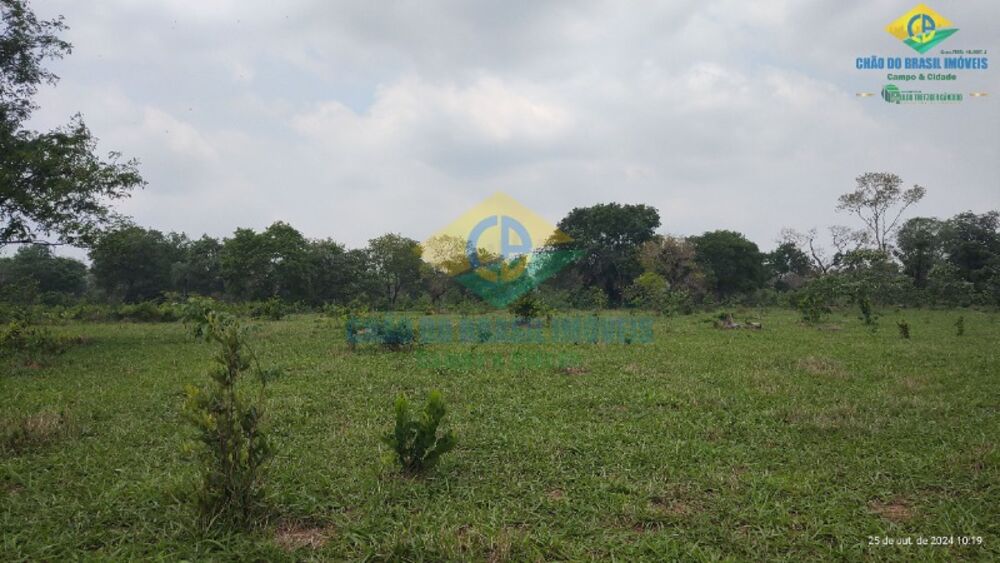 Sítio, 3 quartos, 44 m² - Foto 6