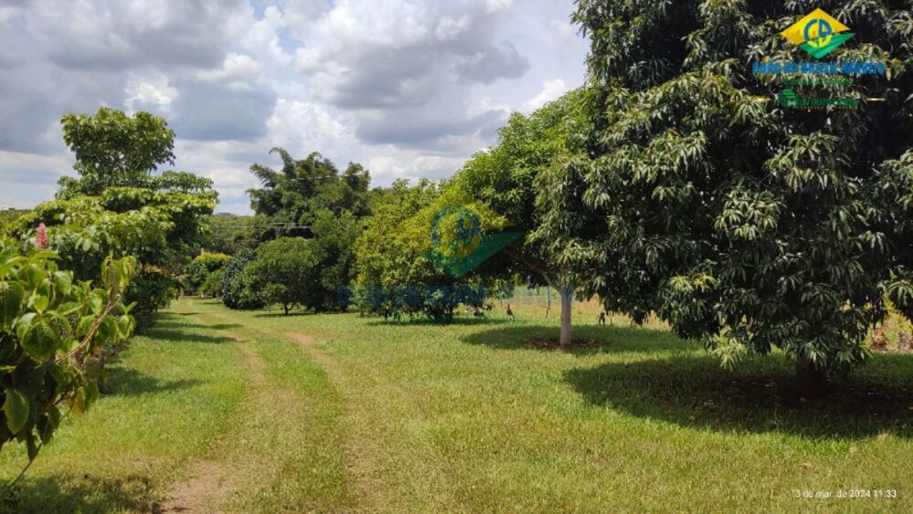 Chácara, 3 quartos, 5 m² - Foto 6