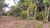 Chácara, 1 quarto - Foto 3