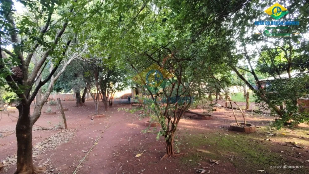 Terreno, 4000 m² - Foto 5