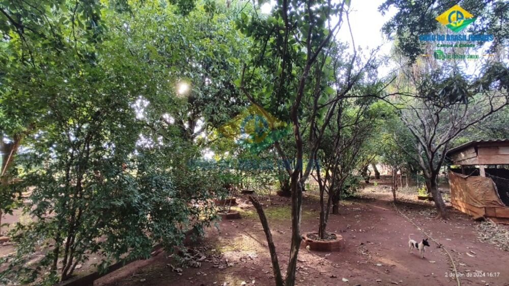 Terreno, 60 m² - Foto 4