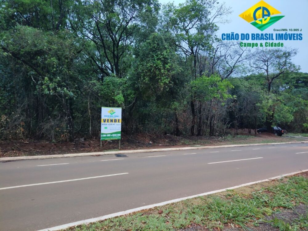 Terreno, 4500 m² - Foto 3