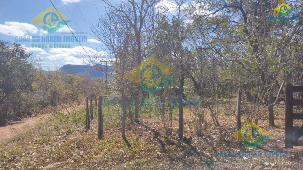 Chácara, 3 quartos - Foto 6