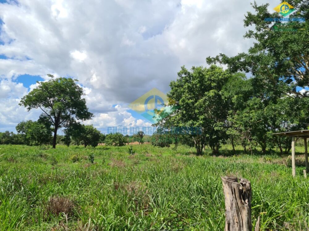 Chácara, 4 quartos, 8 hectares - Foto 4