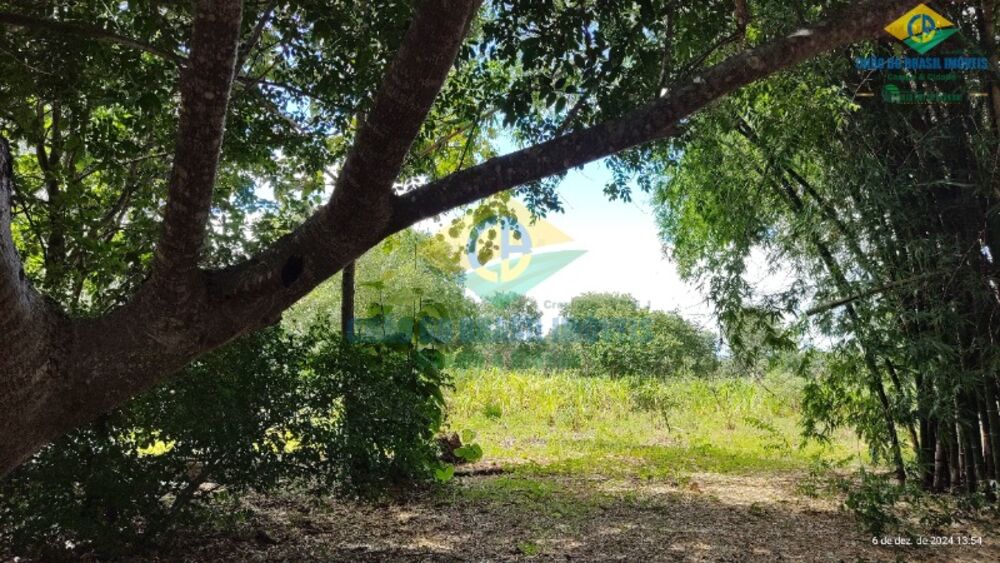 Chácara, 4 quartos, 8 hectares - Foto 1