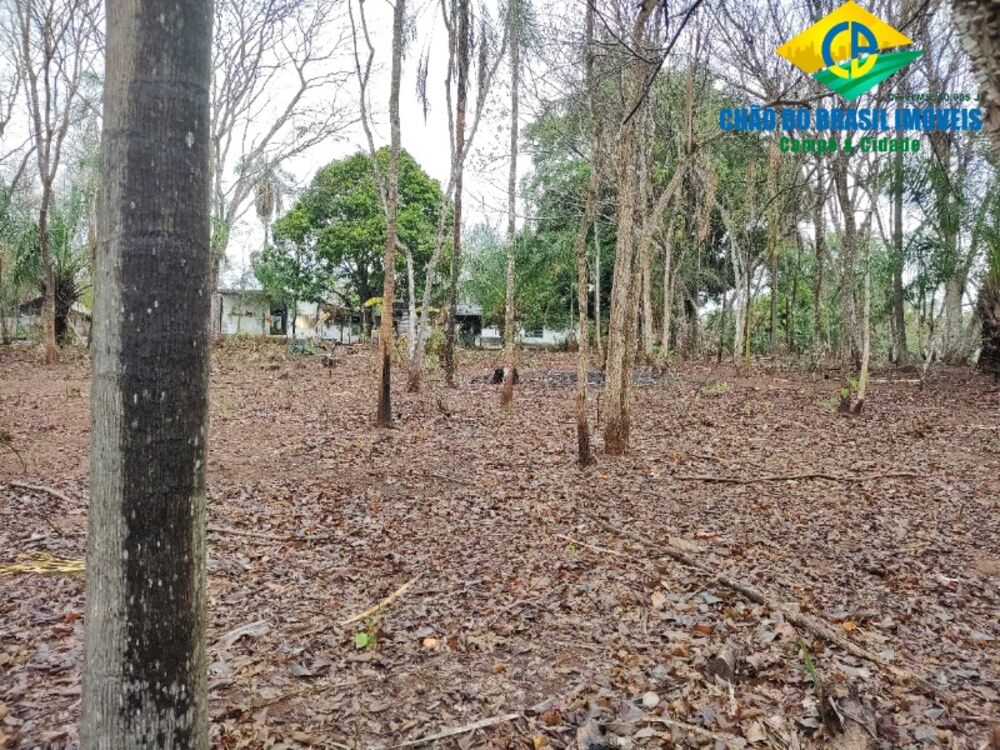 Chácara, 4 quartos - Foto 4