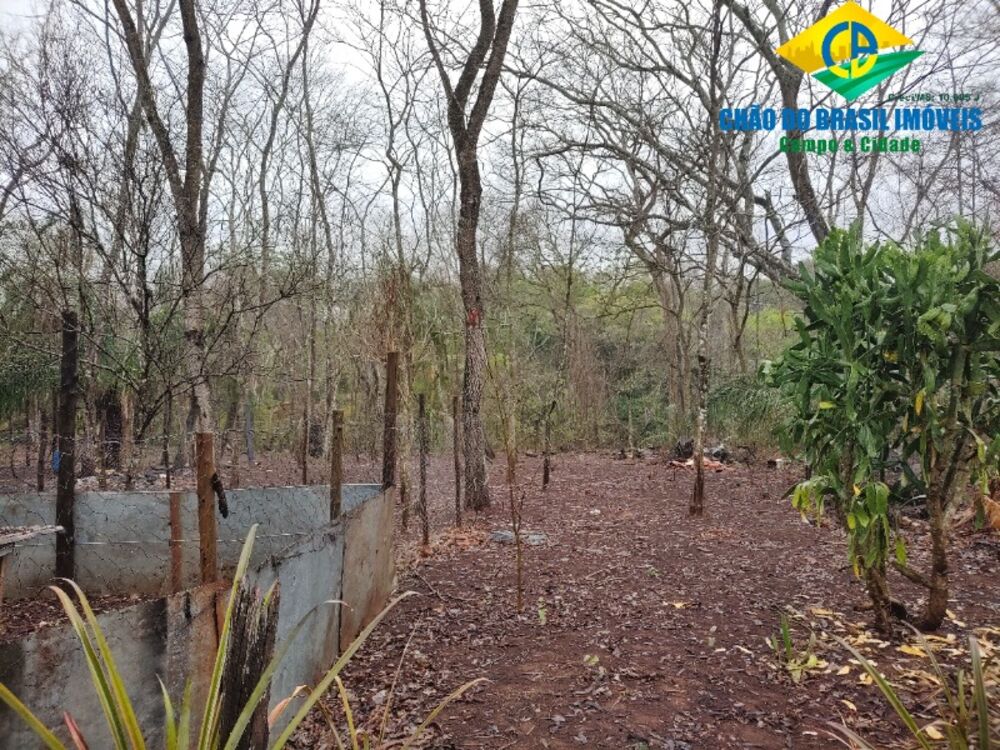 Chácara, 4 quartos - Foto 2