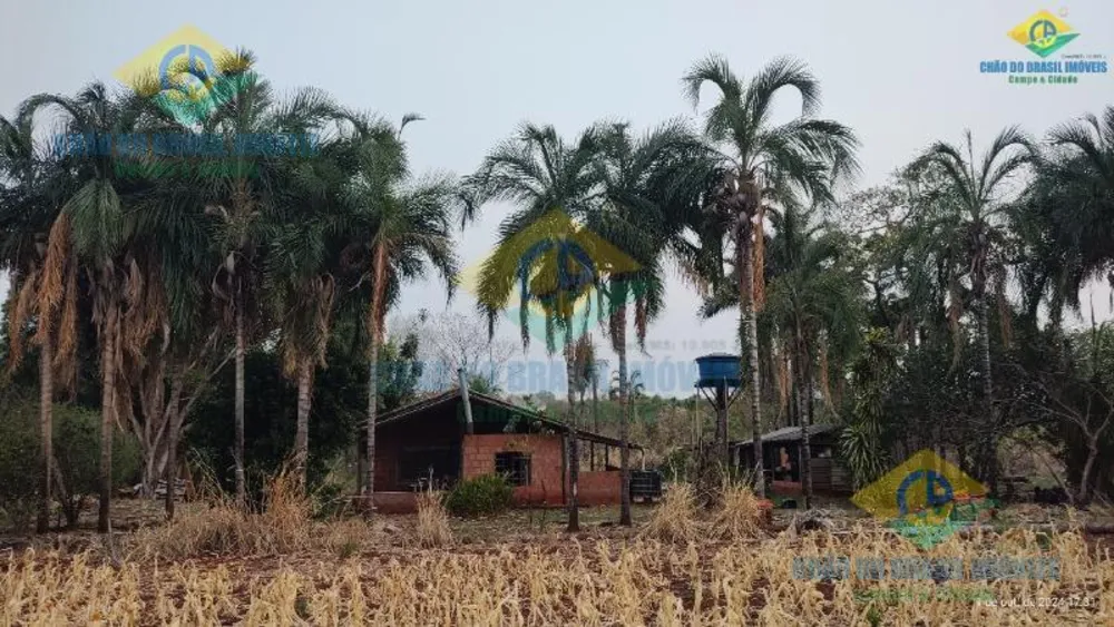 Chácara, 2 quartos - Foto 4