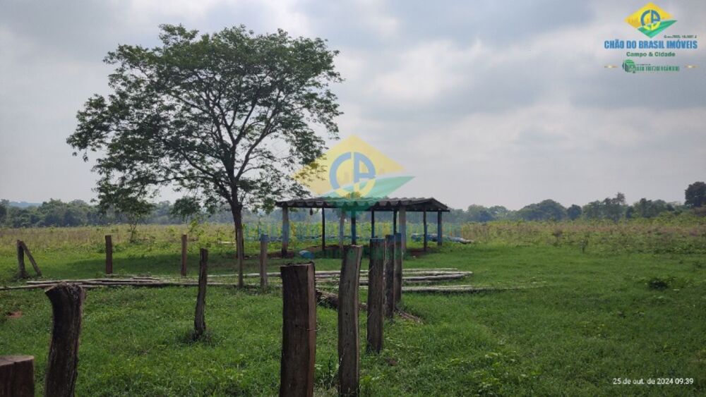 Sítio, 3 quartos, 14 m² - Foto 4