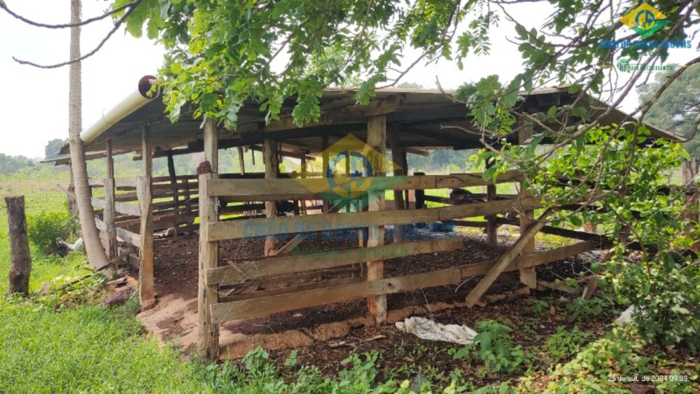 Sítio, 3 quartos, 14 m² - Foto 3