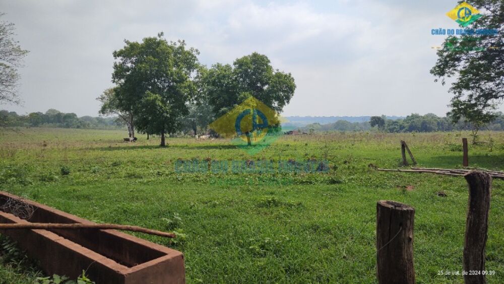 Sítio, 3 quartos, 14 m² - Foto 2