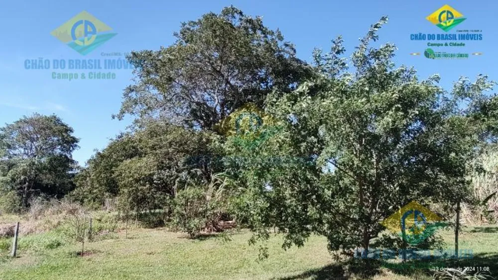 Chácara, 4 quartos - Foto 1
