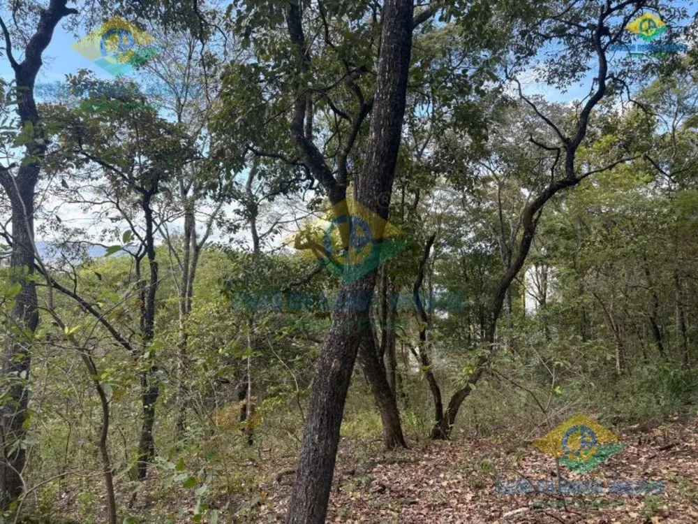 Terreno, 7000 m² - Foto 5