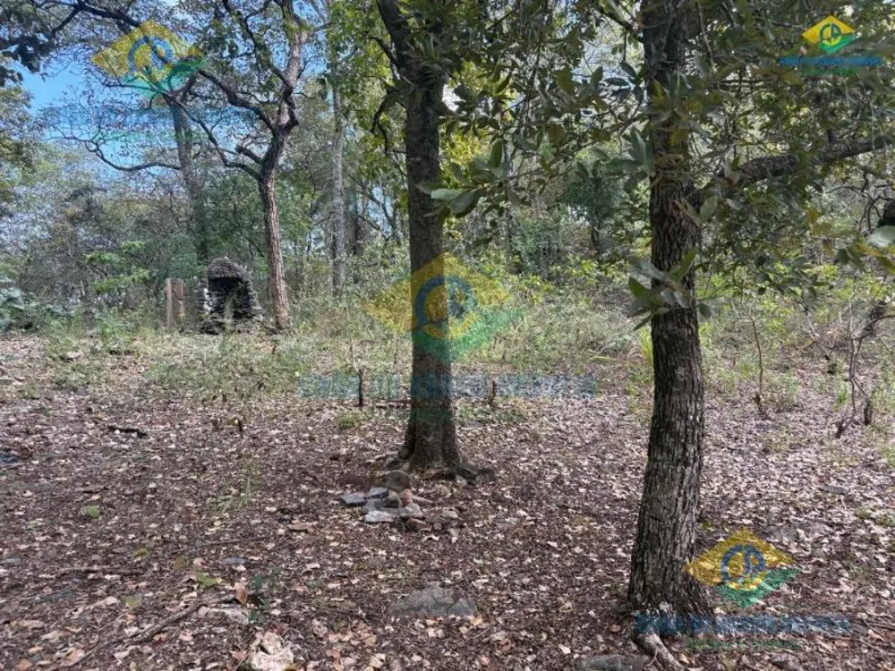 Terreno, 7000 m² - Foto 4