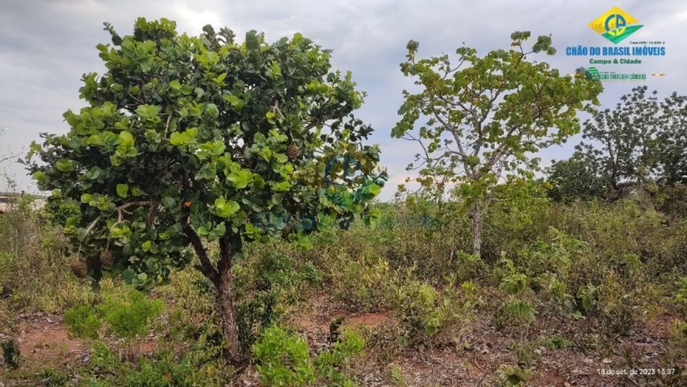 Terreno, 1920 m² - Foto 2