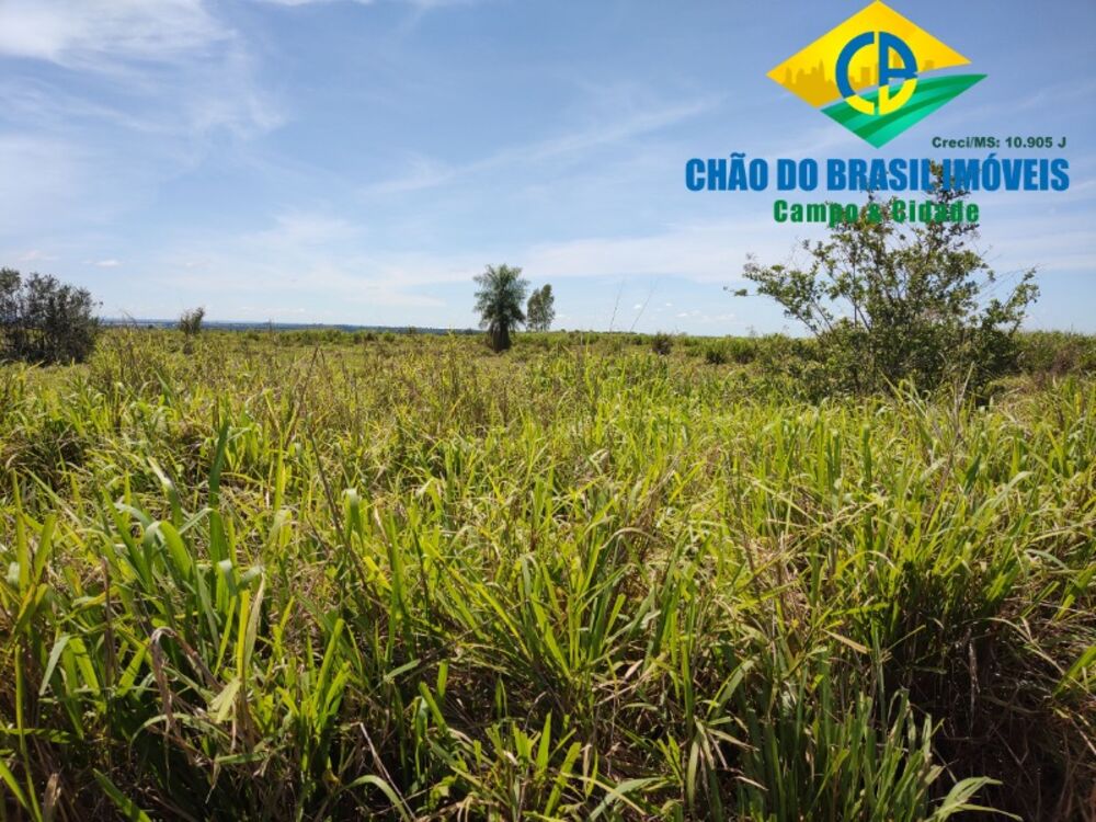 Chácara à venda com 2 quartos, 22900m² - Foto 1